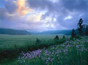 Sunrise, Valles Calderas National Preserve, North Central.