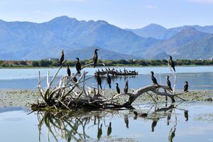 Skadar lake, Montenegro