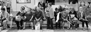 The Bench