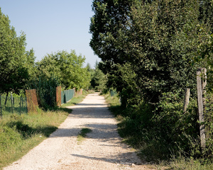 Ciociaria Orchard