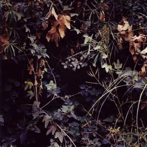 From the series A Secret Garden       © Emma Livingston