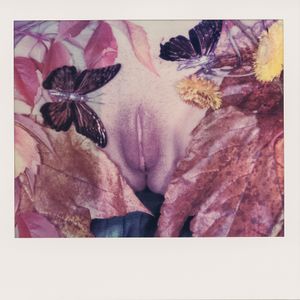Vulva 4
