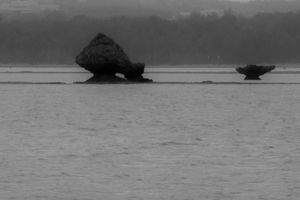 Drizzling Bay-01