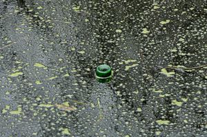 Polluted