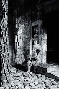 Reading