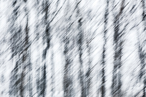 Snow #D121919