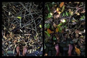 calling falling © Indra Widi