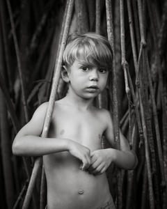 Innocence