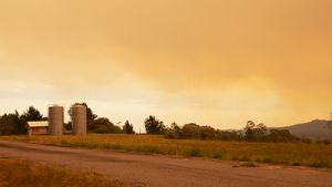 Peats Ridge