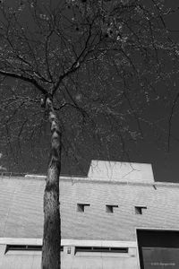 The National Theatre on the South Bank, London | 07