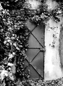 Doors 8