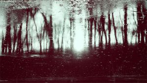 The world beneath