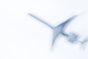 FLIGHT #D106874