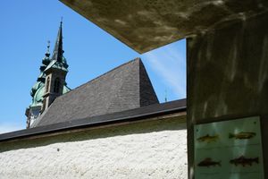 Salzburg - Fish Church
