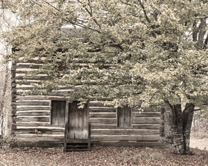 Christopher Taylor Log House