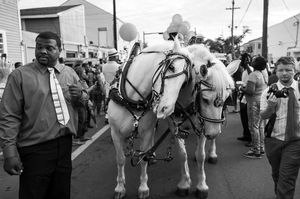 Man with White Horses