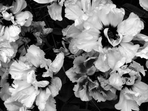 I must have flowers #6