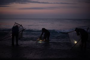 Before dawn