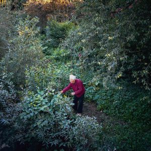 Gardening