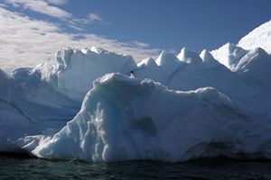 Antarctica II