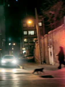 Women on isfahan's Street