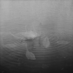 Sentimental Journey V
