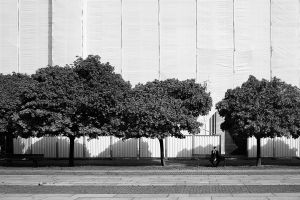 Abstract reality