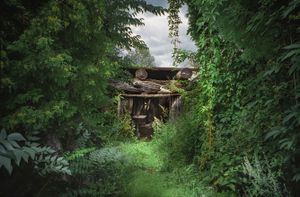 Shed, Orvydas Garden, Salantai, Lithuania