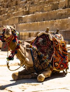 Giza