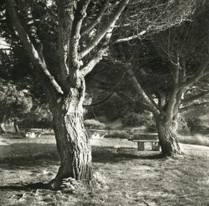 Picnic © Erin Malone