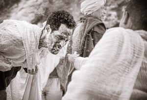 Portrait of a Pilgrim V