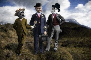 The Politician