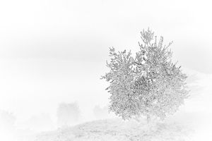 Old as Cold Water 2