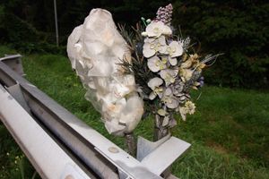 Fiori recisi
