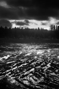 Baltic mud and frost