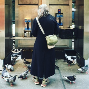 53rd and 5th, NYC