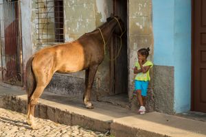 A Horse comes to Visit, Trinidad.
