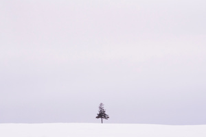 Winter Horizon in the Vicinity -01