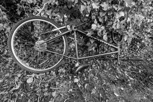 Bicycles dumped, Hertfordshire
