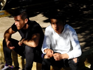 Shadows