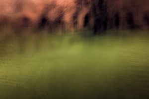 Through the Eyes of Hans Christian Andersen #04 / No, we are not expected!