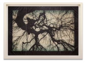 Structure of Thought 26, 2014 © Doug & Mike Starn, Hackelbury