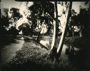 along the riverbank
