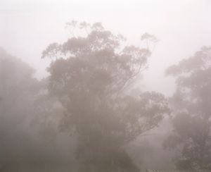 Blue Mountains, 2010 © Rob Philip
