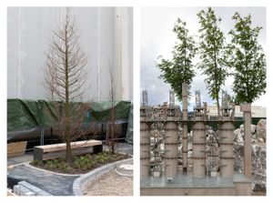 New Plant & Power Station