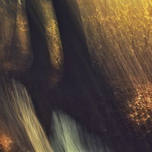 Earth, Matter  & Light