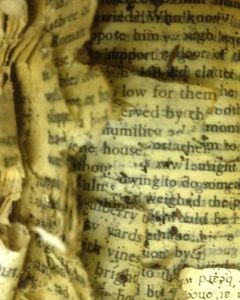 Along and Above the Spine