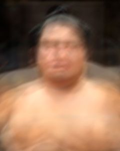 Sumo Wrestler