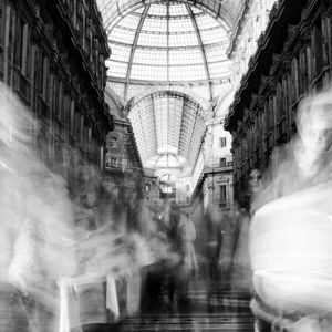 De kingdome© Roberto De Mitri