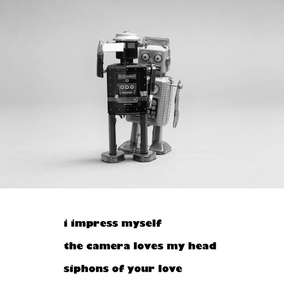 BotMerica64